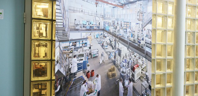 世界一の農業大学ワーヘニンゲン大学の人工肉ラボを訪問!